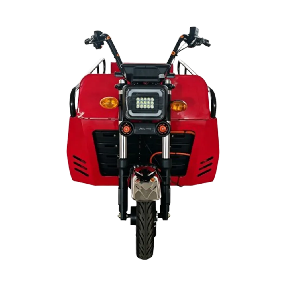 Labiou Auto Electric Three Wheel Disabled Vehicle