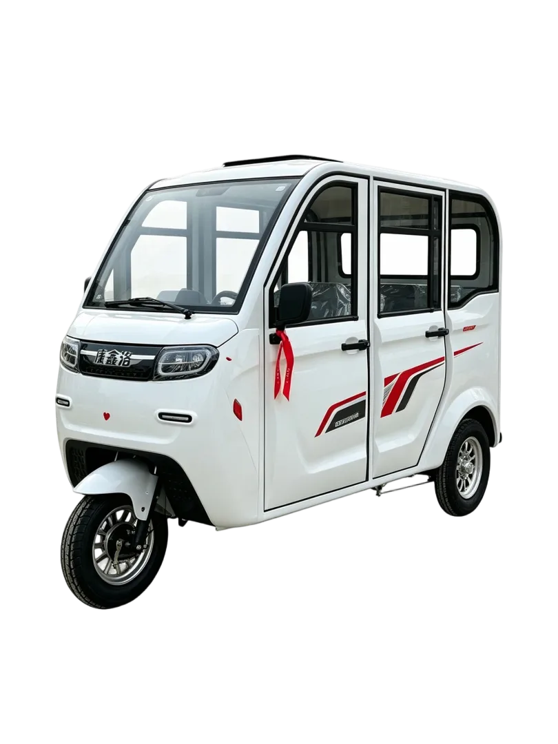 Labiou Fully Enclosed Electric Three Wheel Disabled Vehicle