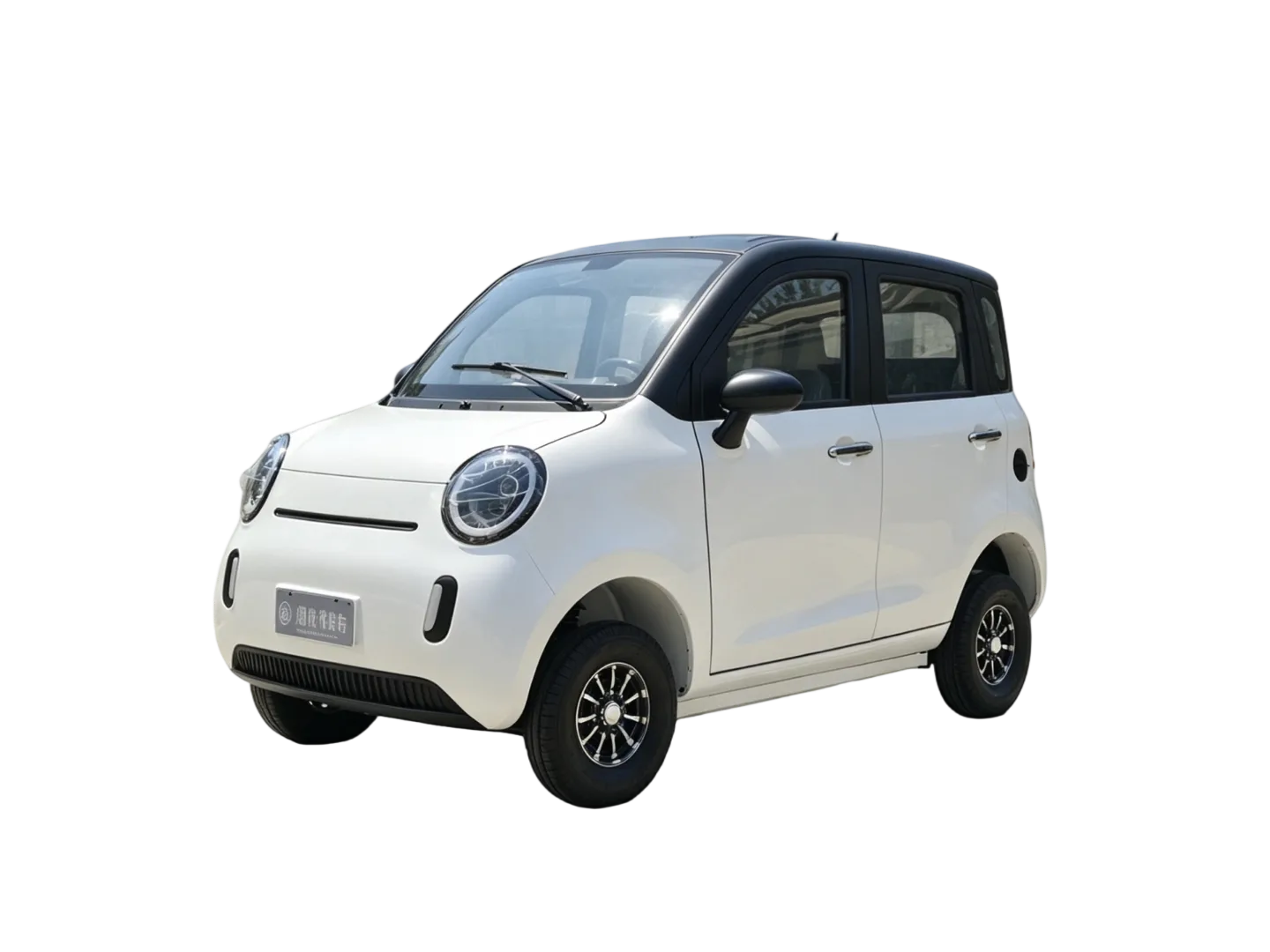 Labiou Large Fully Enclosed Electric Four Wheel Disabled Vehicle