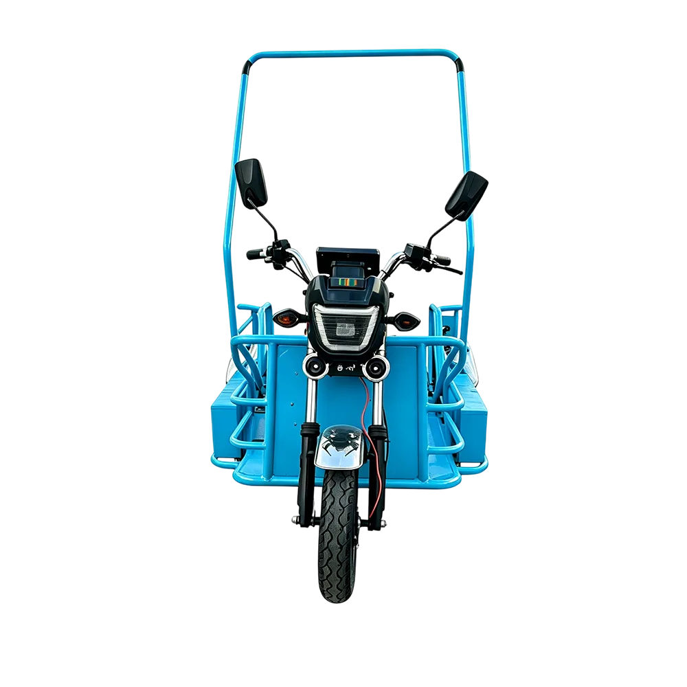 Labiou Manual Electric Three Wheel Disabled Vehicle