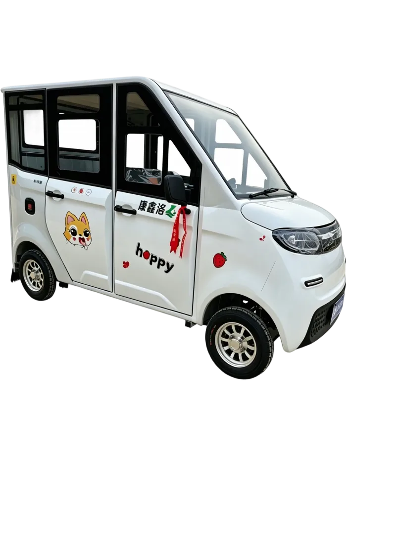 Labiou Middle Fully Enclosed Electric Four Wheel Disabled Vehicle
